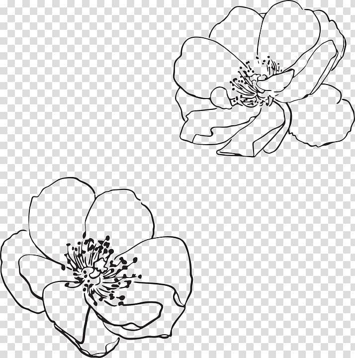 two black and white flowers on a transparent background