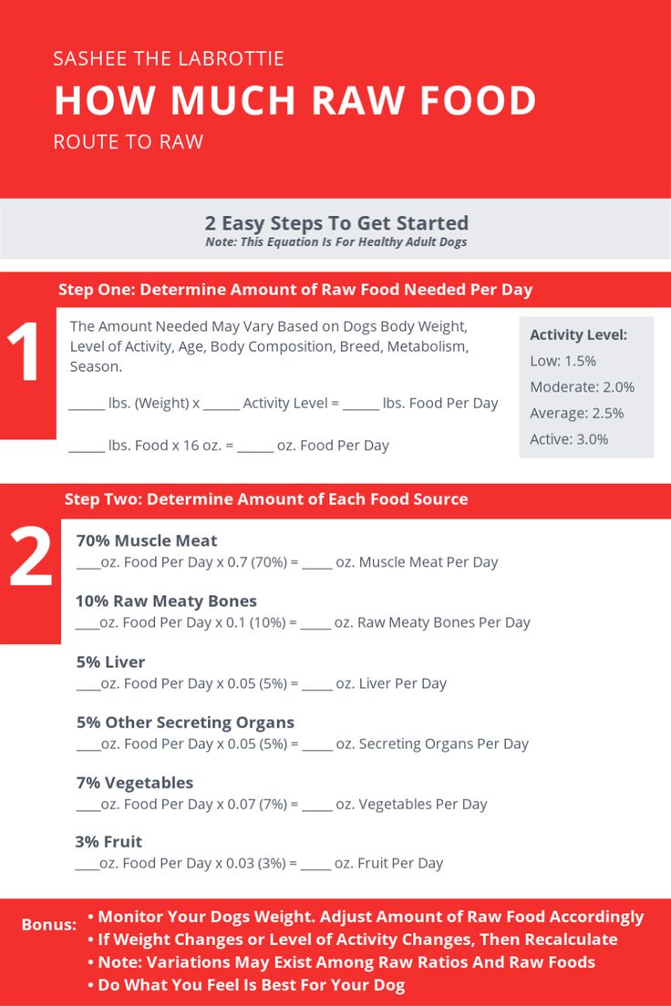 how much raw food should you eat? info sheet for the savory vegan diet