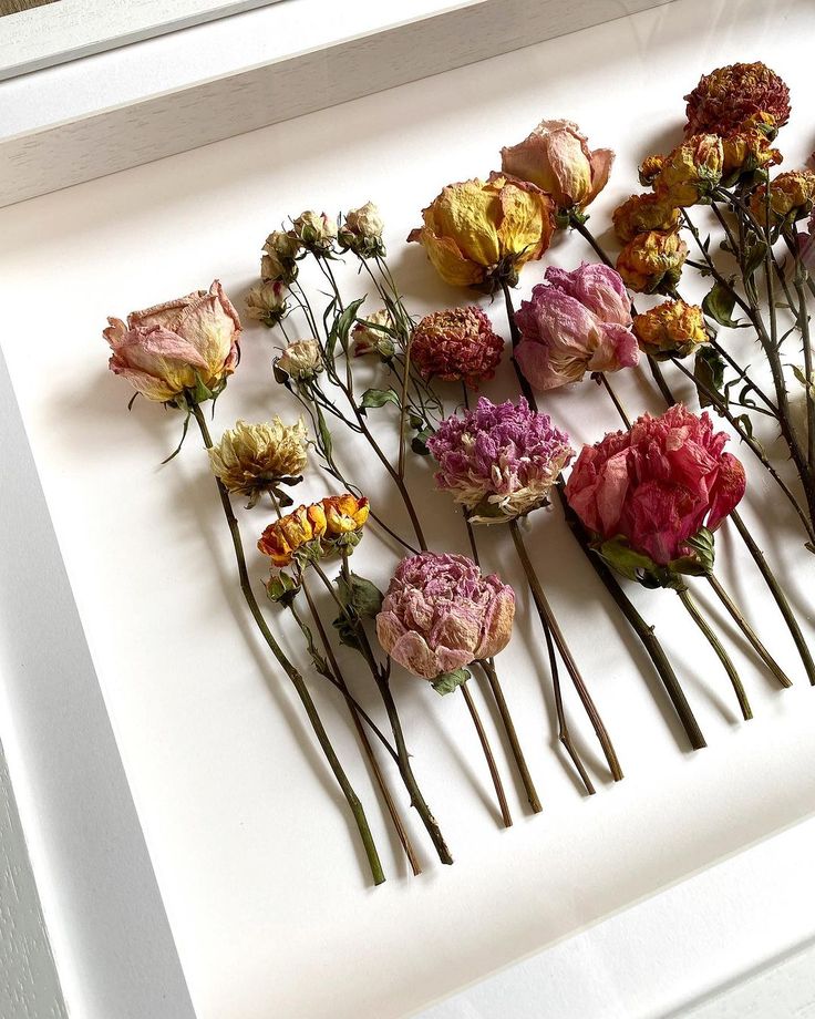 flowers are arranged in rows on a white tray