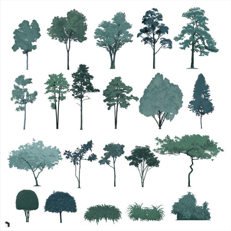 various types of trees are shown in blue and green colors on a white background,