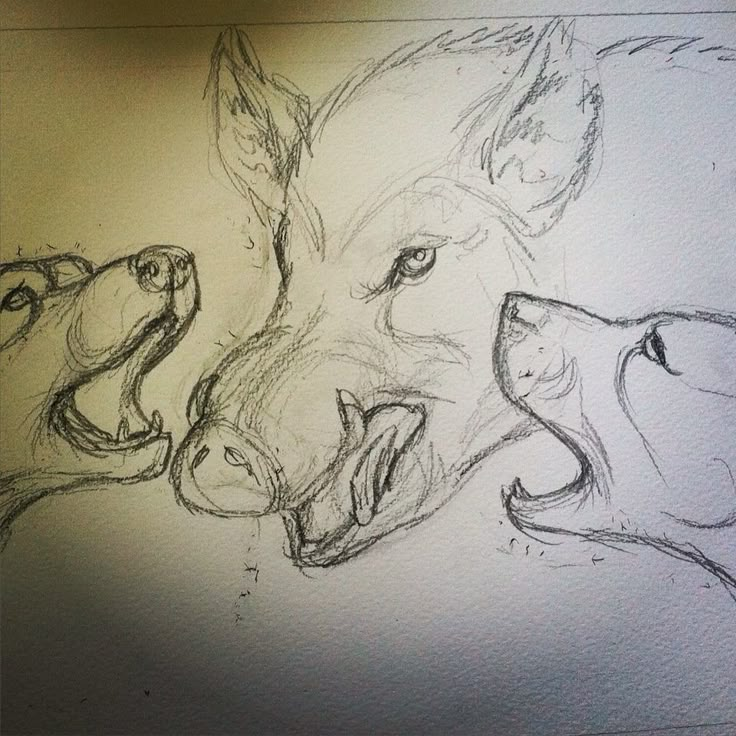 a drawing of two dogs with their mouths open and one dog's head in the middle