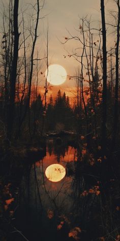 the sun is setting over a small lake in the woods with trees and leaves around it