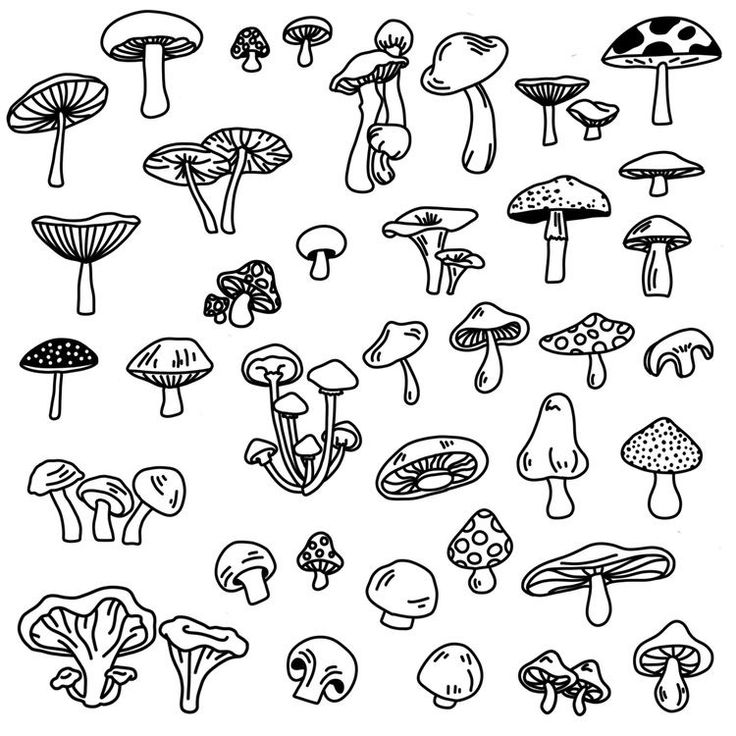 the different types of mushrooms are drawn in black and white on a sheet of paper