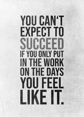 a quote that says you can't expect to success if you only put in the work on the days you feel like it