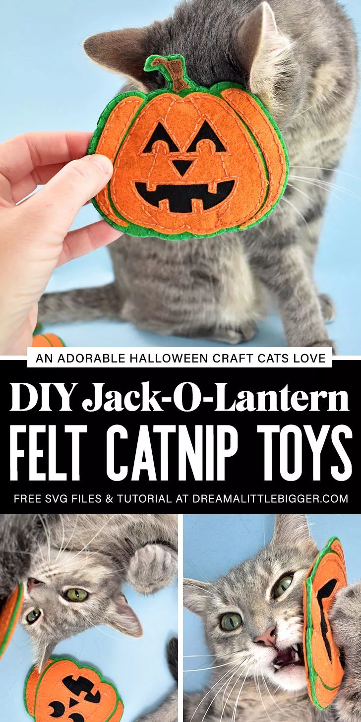 an adorable jack o'lantern felt cat toy is featured in this halloween photo collage