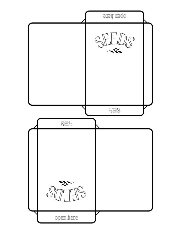 three seed packets with the words seeds written in black ink on white paper, and two separate