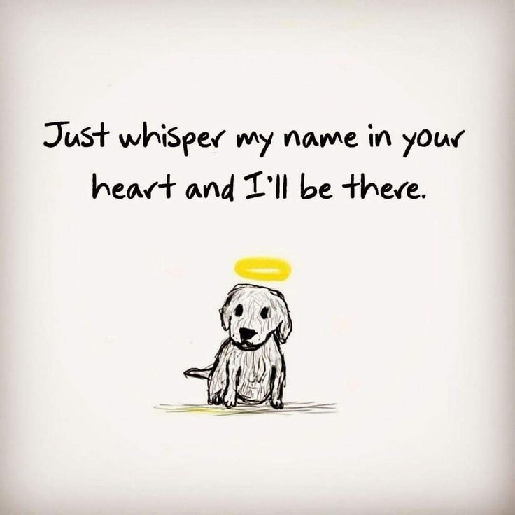 a dog with a yellow frisbee in its mouth and the words just whisper my name in your heart and i'll be there