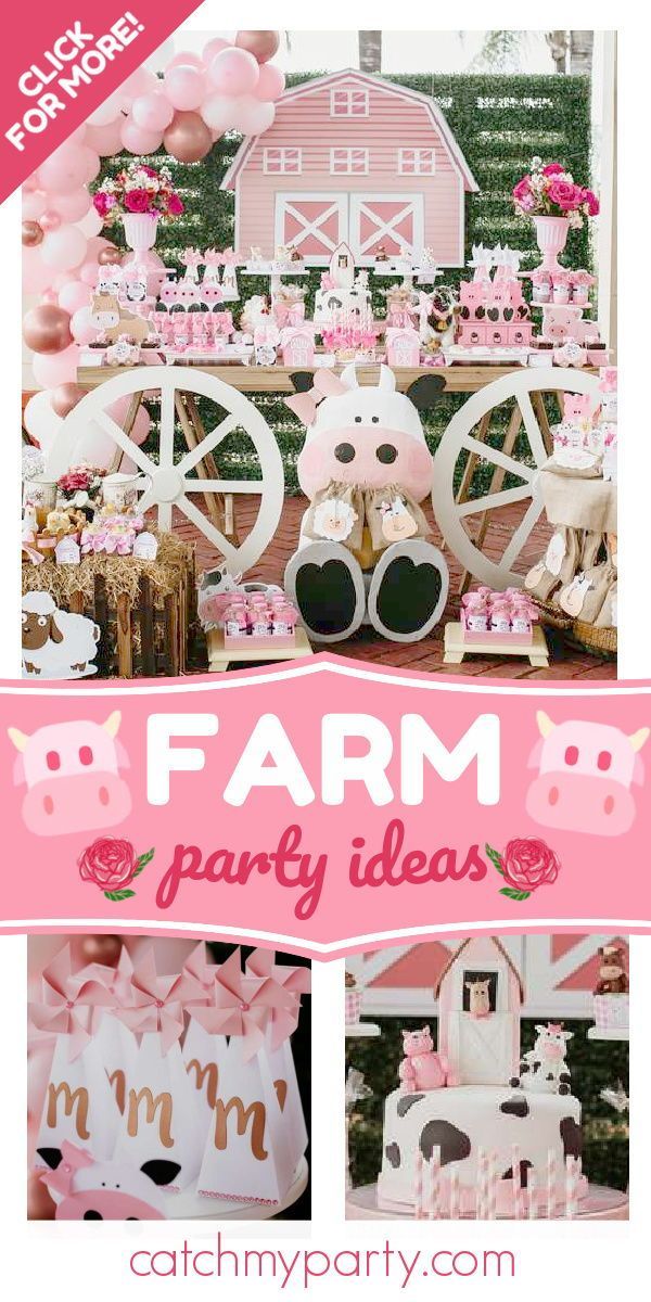 farm party with pink and white decorations