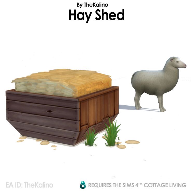 a sheep standing next to a wooden chest