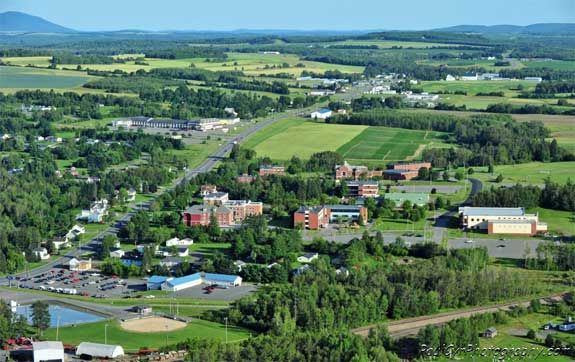 an aerial view of a town with lots of trees and grass in the foreground