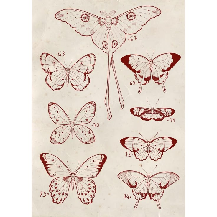 butterflies and moths are shown in red ink