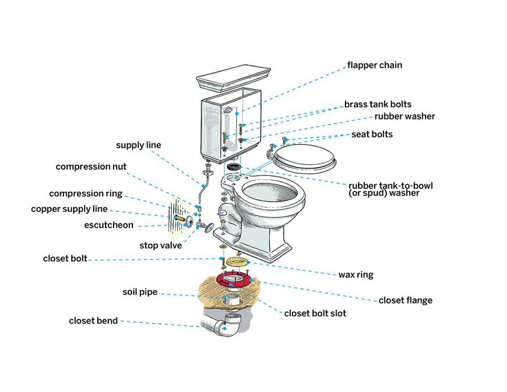 the parts of a toilet and its components labeled in this diagram are labeled below,