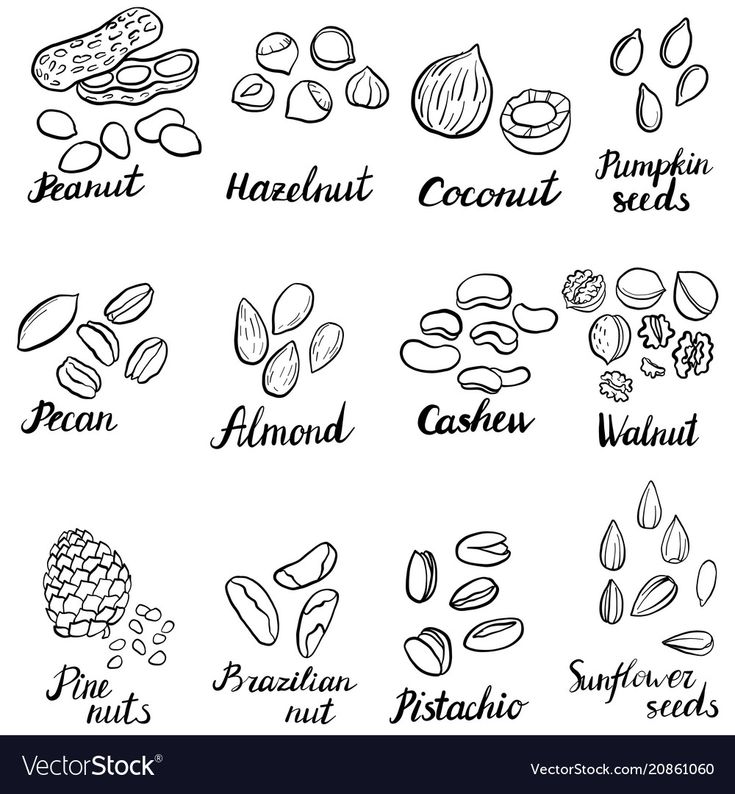 different types of nuts and their names