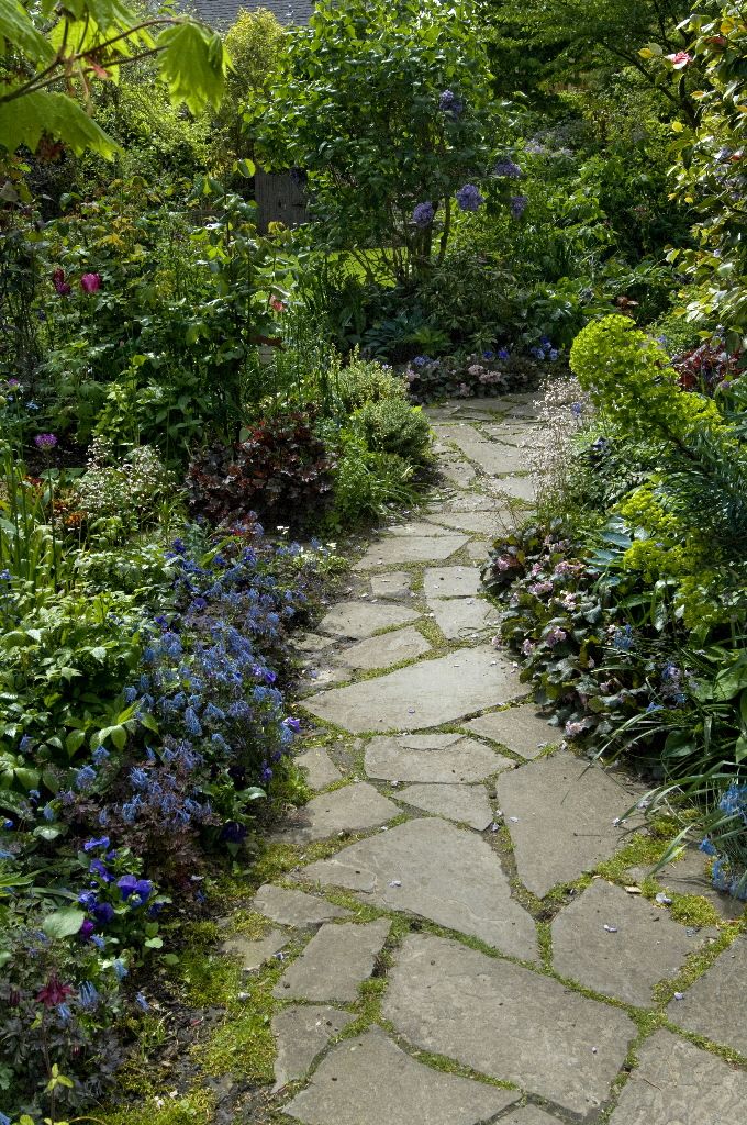 a stone path surrounded by flowers and greenery