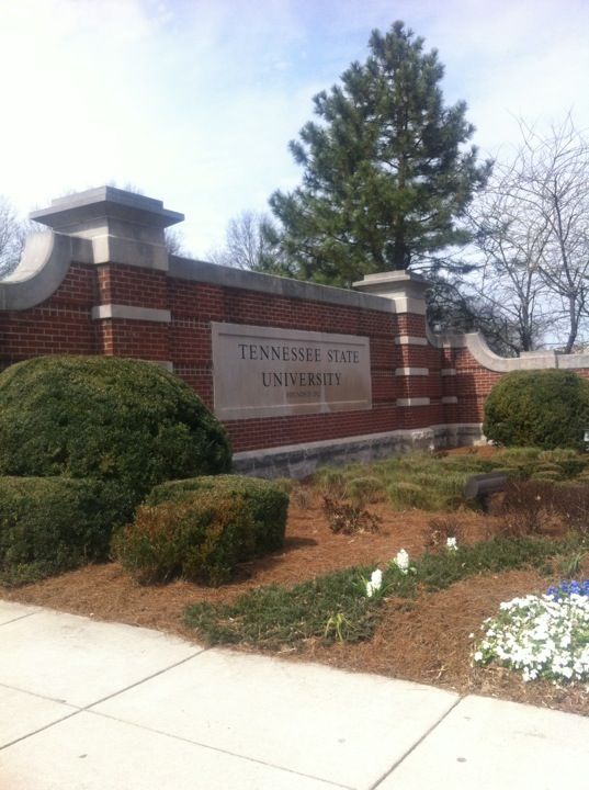 there is a sign that says tennessee state university in front of some bushes and flowers