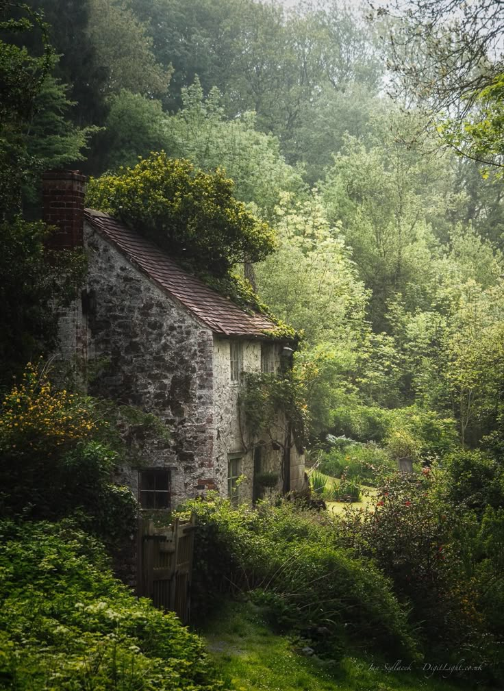 an old stone building surrounded by trees in the middle of a lush green forest area