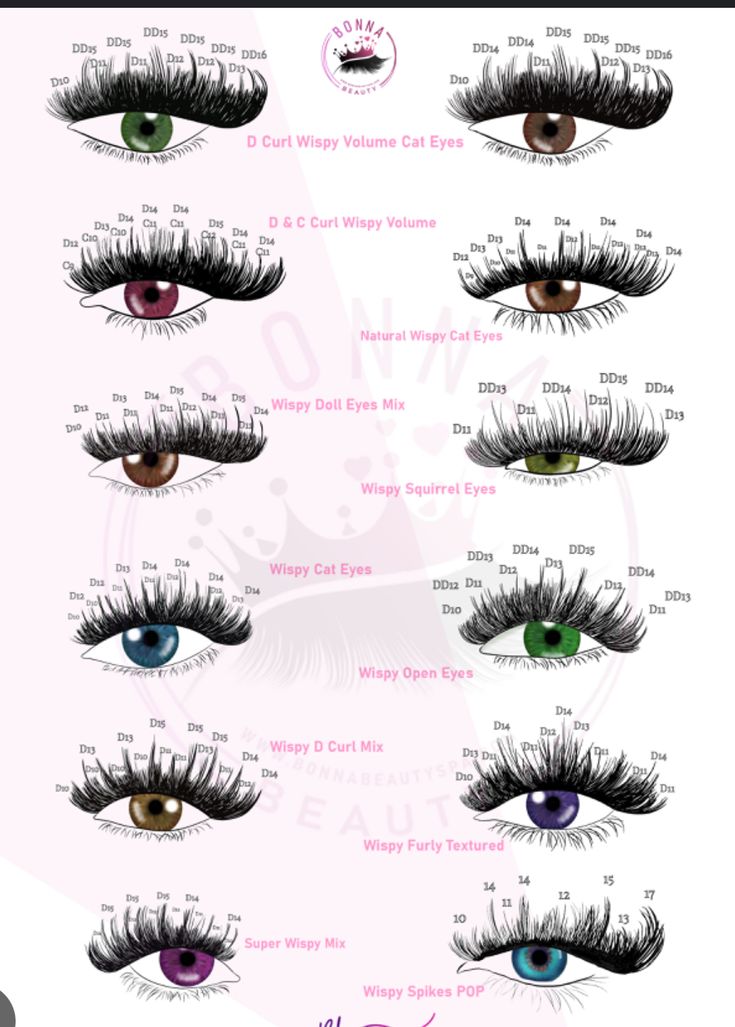 Lash Chart Styles, Different Lash Maps, Lash Practice Charts, Doll Eye Eyelash Extensions Map, Lash Map Clusters Cat Eye, C Curl Lash Map, Bottom Lash Map, Strip Lash Mapping, 40d Lash Cluster Map