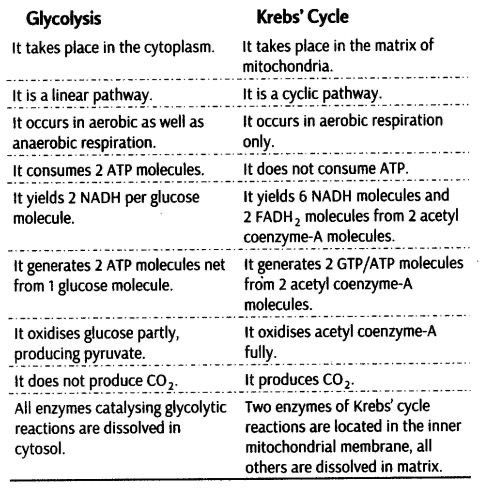 two types of glycocyclia are shown in this table