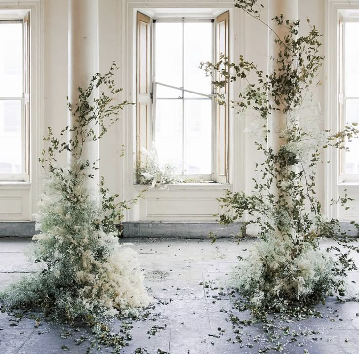 an empty room with plants growing out of the floor and windows in the back ground