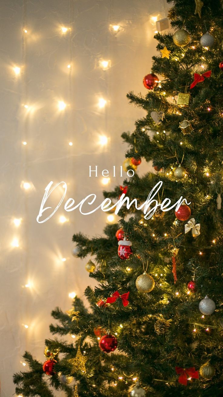 Wallpaper Hello Christmas Wallpaper, Its December Wallpaper, 1 December Wallpaper, Hello December 2024, Hello December Images Aesthetic, Hello December Instagram Story, Hello December Wallpaper Aesthetic, It’s December, Hello December Wallpaper Iphone