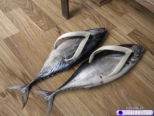 two fish laying on the floor with caption that reads flip flops ideal for the irish weather