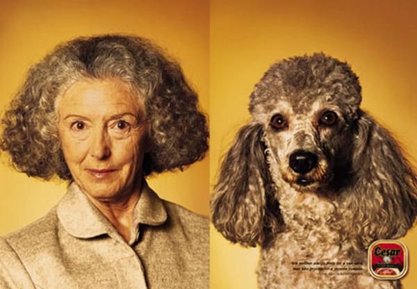 an old woman with curly hair and a poodle in front of her is the caption for what is your dog personality?