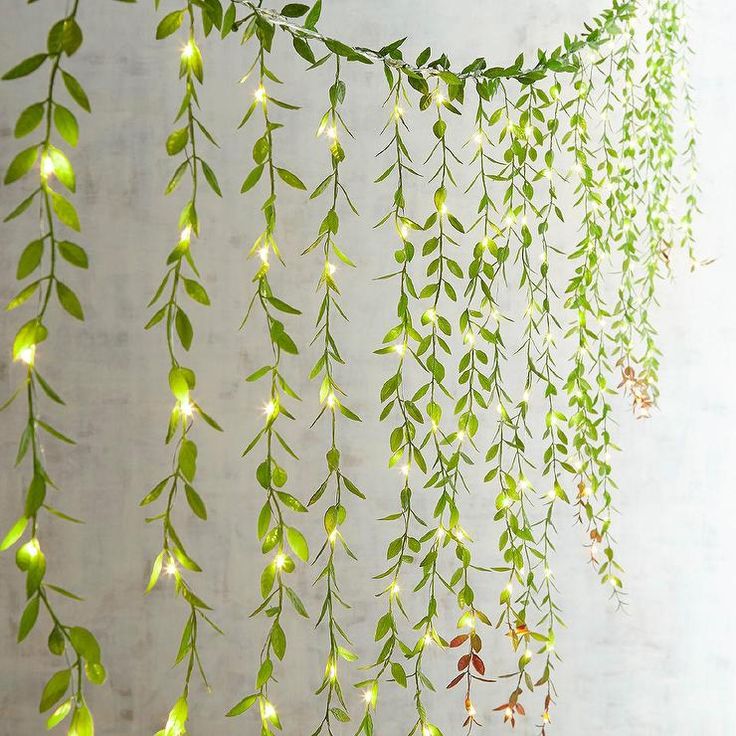 some green plants hanging from the side of a white wall with lights on each planter