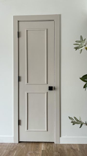 an empty room with a white door and wood flooring on the wall, next to a potted plant