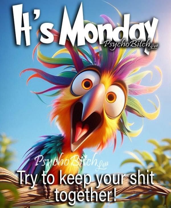 an image of a cartoon bird on the cover of it's monday magazine with caption