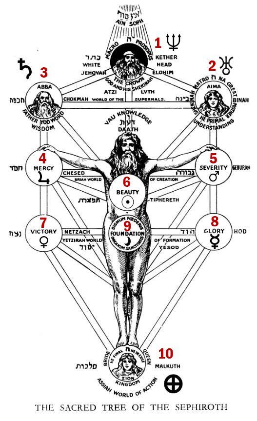 the sacred tree of the sephothh, with symbols for each zodiac sign