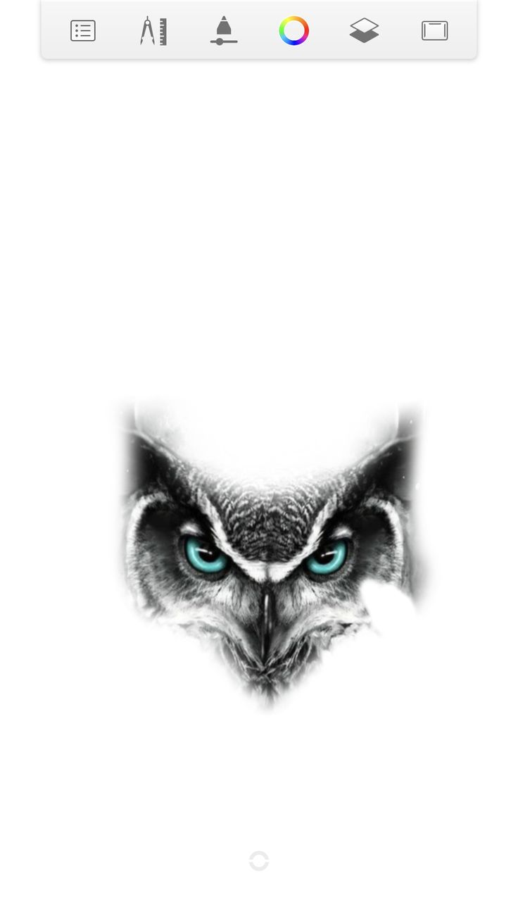 an owl's face with blue eyes is shown in the image on this phone screen