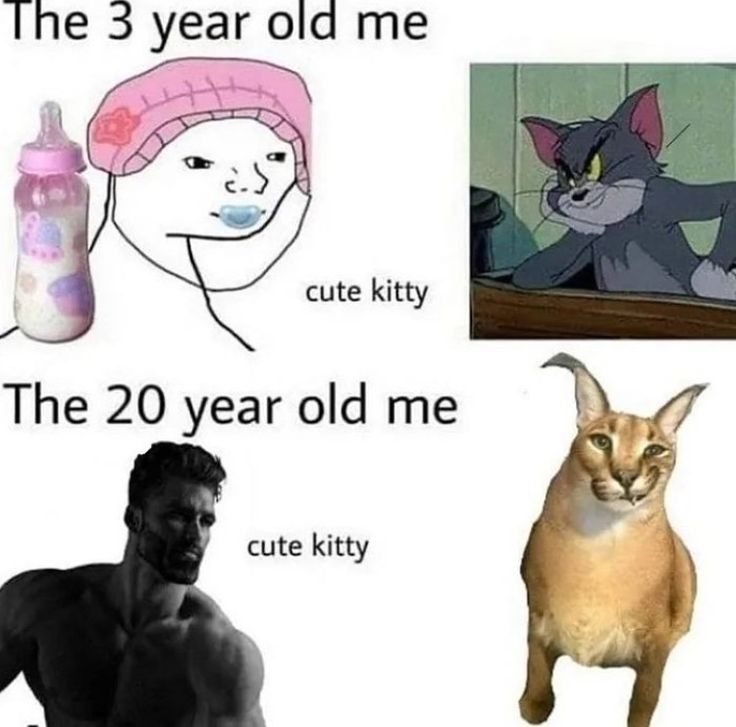 the three year old meme is cute kitty, cute kitty and catty