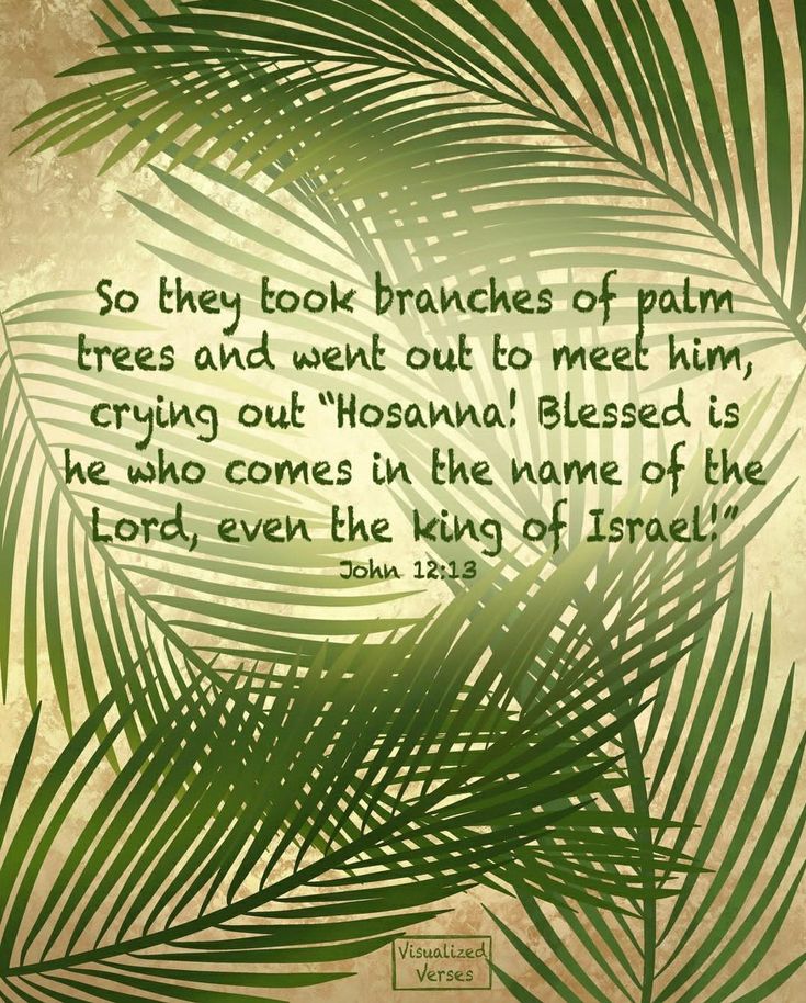 a palm leaf with the words, so they look branches of palm trees and went out to