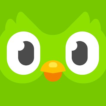 the face of a green bird with big eyes