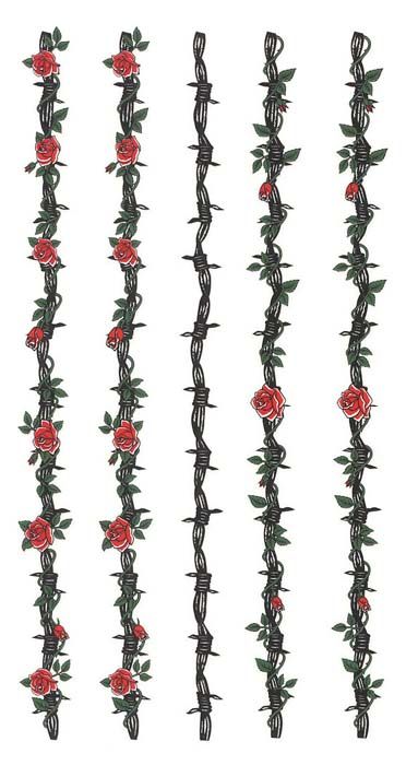 barbed wire with red roses on it and green leaves hanging from the top, set against a white background