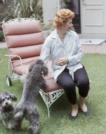 a woman sitting on a chair with two dogs in front of her and another dog standing next to her