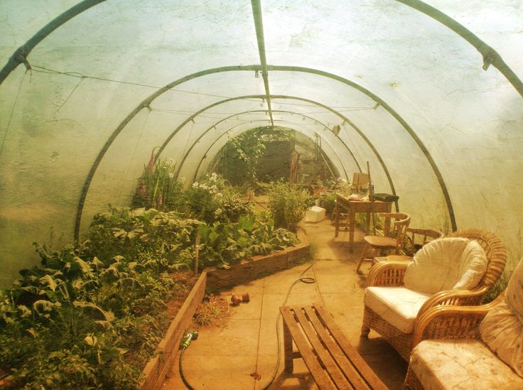 the inside of a greenhouse filled with lots of green plants and furniture in front of it