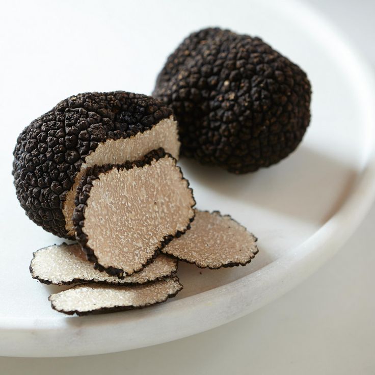 two pieces of black truffle on a white plate