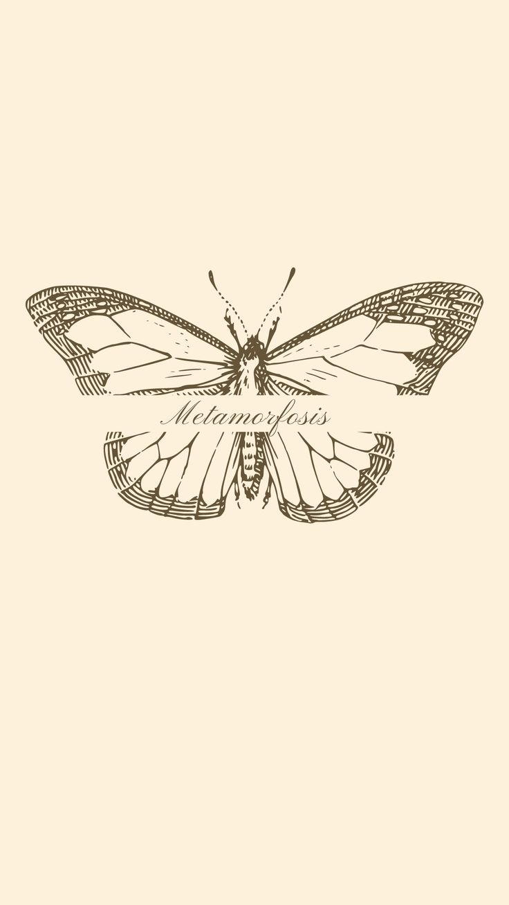 a drawing of a butterfly on a beige background