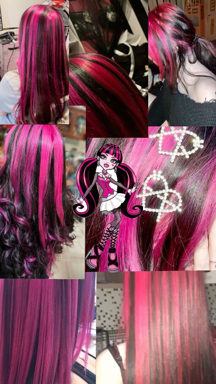 draculaura's hair Draculaura Core, Draculaura Hair, Pink Hair Streaks, Skunk Hair, Monster High Draculaura, Hairstyle Examples, Cute Hair Colors, Hair Inspiration Long, High Hair