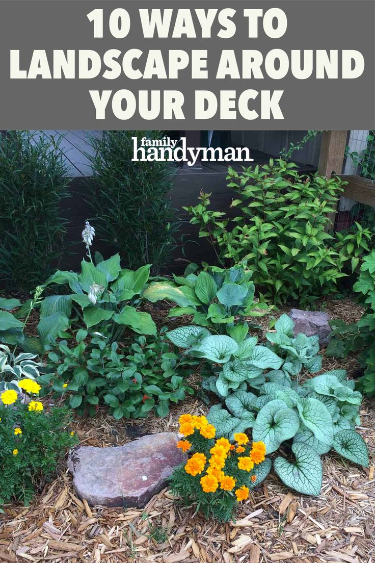 a garden with flowers and plants in the background text reads, 10 ways to landscape around your deck