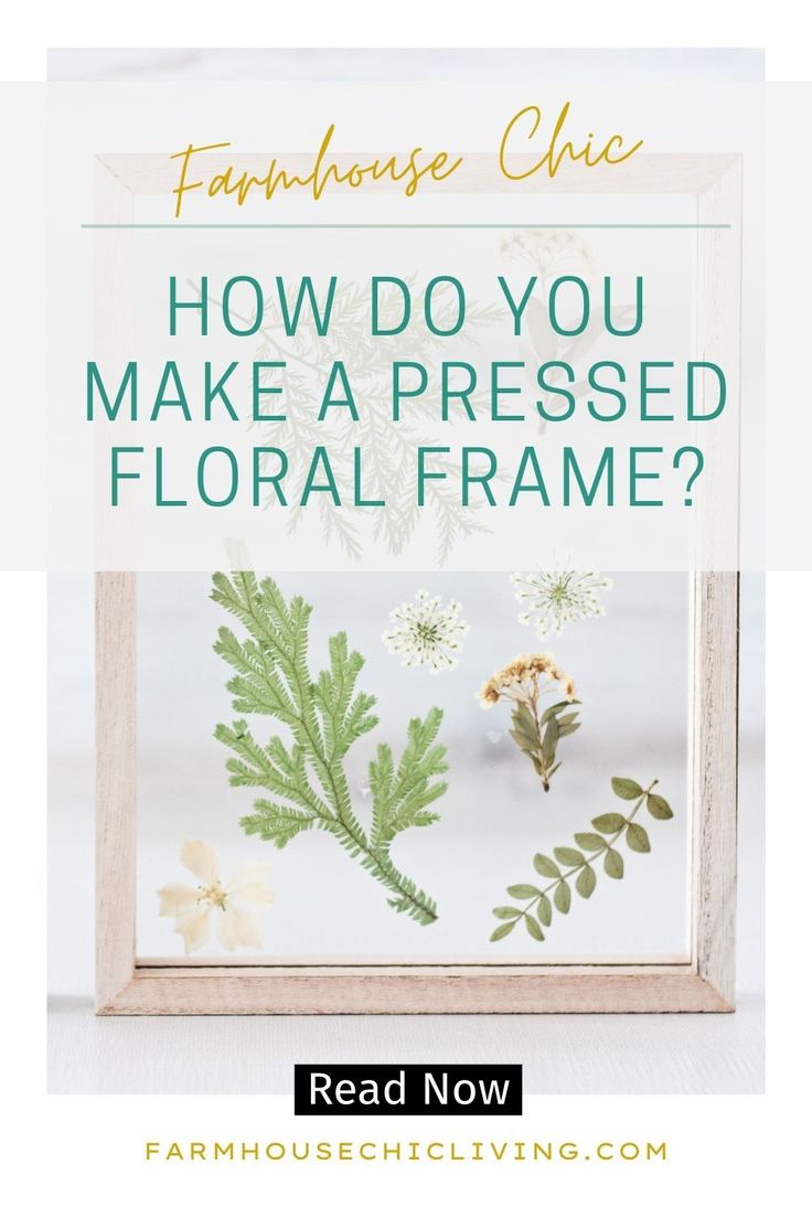 a frame with flowers and plants in it that says farmhouse chic how do you make a pressed floral frame?