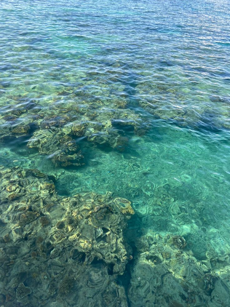 the water is crystal clear and blue with some corals on it's sides