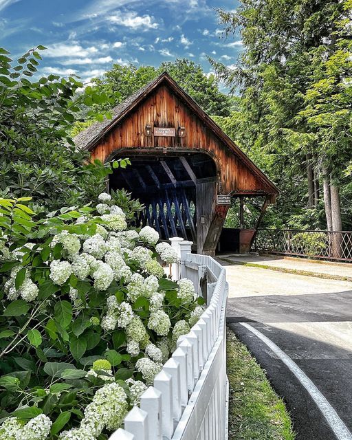 a wooden covered bridge surrounded by lush green trees and white hydrangeas in the foreground