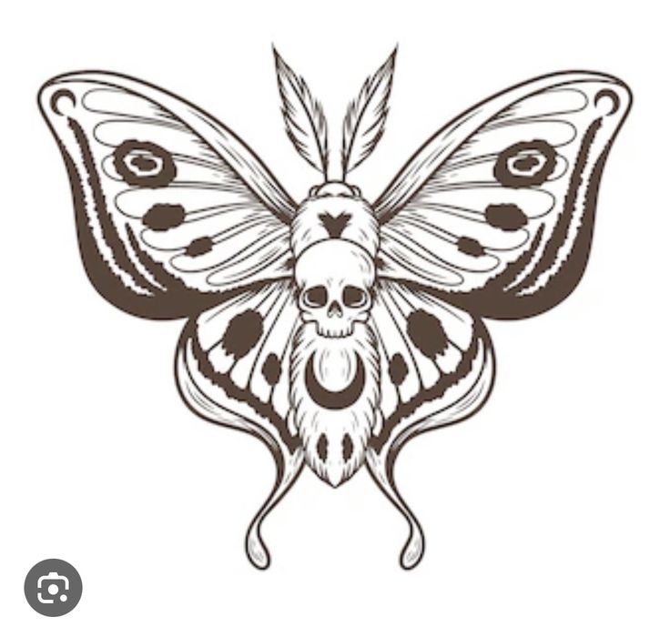 a butterfly with a skull on it's back and wings, in black and white