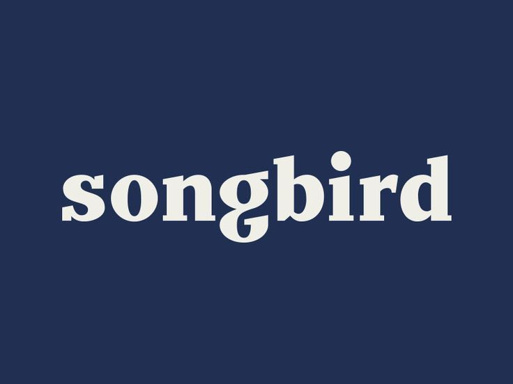 the word songbird is written in white on a dark blue background with an image of a bird