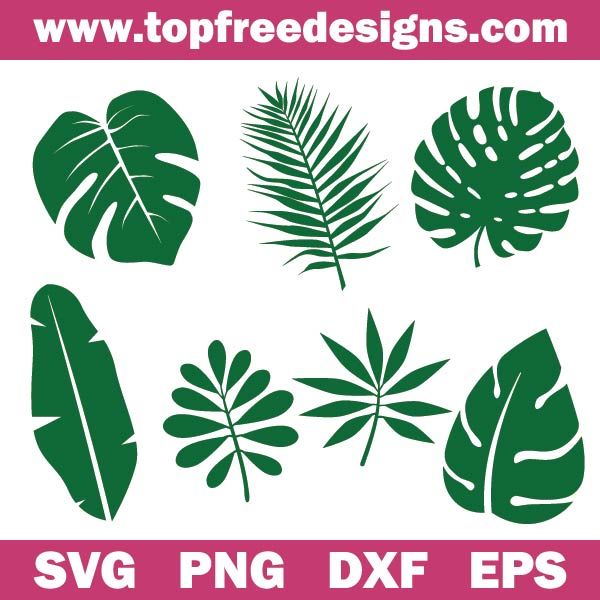 tropical leaf silhouettes for svg, dxf and png design files