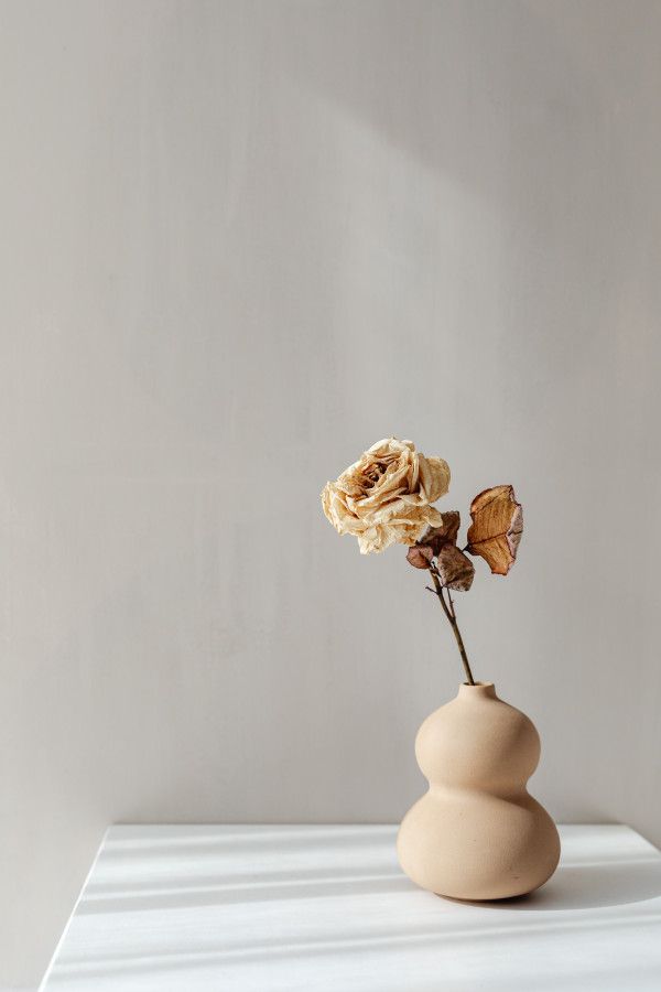 a vase with flowers in it sitting on a white countertop against a gray wall