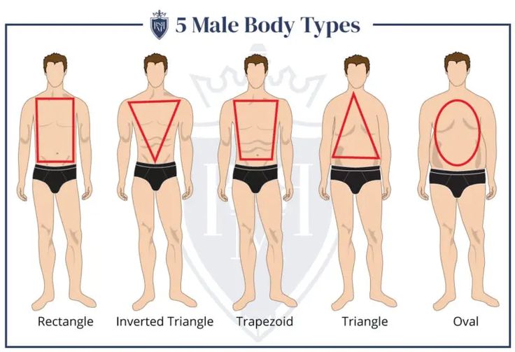 Body Shape & Men's Style - How To Dress For Your Body Type - RealMenRealStyle Male Body Types, Mens Body Types, Male Body Shapes, Dad Bodies, Types Of Body Shapes, Mens Body, Dress Body Type, Herren Style, Design Jersey