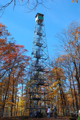 a tall tower sitting in the middle of a forest filled with lots of leaf covered trees